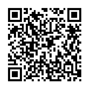 还特意跑到了小龙圈外自己家那个真眼旁边传送二维码生成