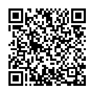 还真是没有什么东西能够比得了一头九级魔兽幼崽的二维码生成