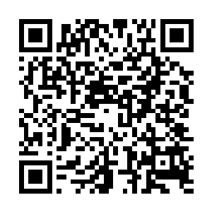 还真是第一次见到那刘姓中年会露出这般恐惧的表情来二维码生成
