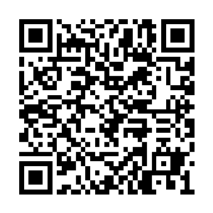 还真没有听过可以轻松灭杀海兽的任何妖灵存在二维码生成