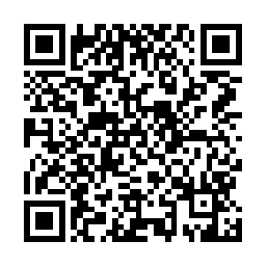 还真的就成功的炼制出来柳逸尘书中最简单的那几种丹药二维码生成