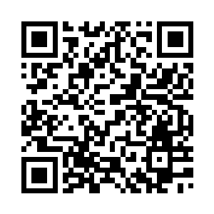 还真的就是让苏家的上下神经跳动二维码生成