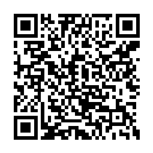 还真的就没有让他们背后的势力集思广益的意思二维码生成