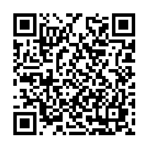 还真配得上牟晨菲一贯不随大流却很高品位的风格二维码生成