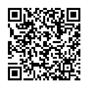 还站在窗台旁警惕的看着窗外――一看就不像好人嘛二维码生成