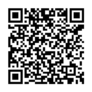 还能挑选自己和搭档所要穿着的时装和造型风格二维码生成