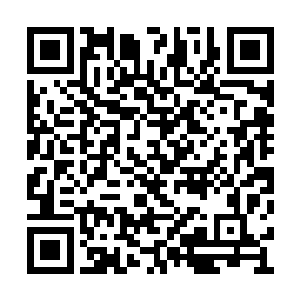 还能让你们永远快人一步体验人生最完美的享受二维码生成