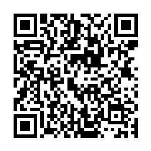 还被牢牢反绑在身后的双手在冰冷中也不觉渐渐僵硬与发麻起来二维码生成