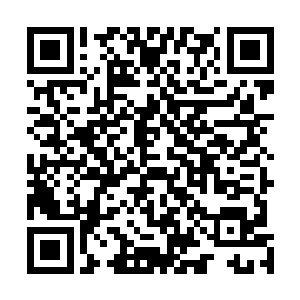 还要五色龙齐聚――据说预言中还特别指出了黑龙的回归二维码生成