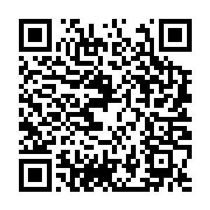 还要准备十年以上的独头紫蒜和大量的纯净白玉石二维码生成