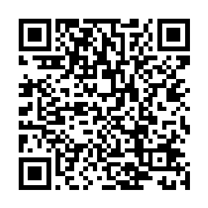 还要向主管人事的常务副县长和主管组织人事的副书记汇报二维码生成