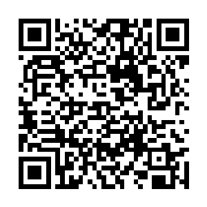 还要在它的内丹之上……这是一种非常稀有的药材二维码生成