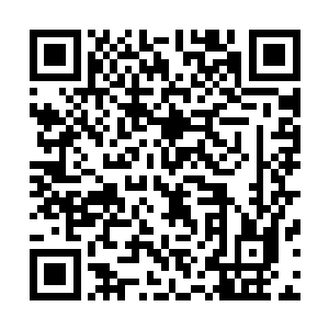 还要她努力去学习去训练……她觉得自己生活简直是太苦了二维码生成