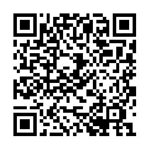 还要妄想借用天道的力量――这样不是逆天而行二维码生成