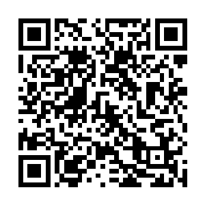 还要孤身一人不携带任何工具在山林深处生存一年半载二维码生成