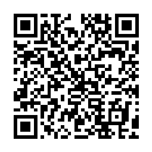 还要把我囚回林家……倒不如……倒不如我就趁今晚一走了之二维码生成