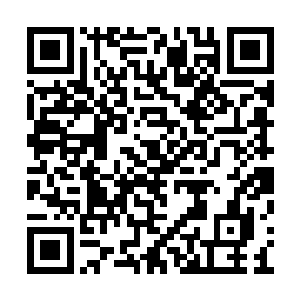 还要面对国内的不同的执政党趁机发出来的责难二维码生成
