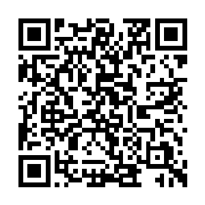 还让人家一巴掌把陈家的三小姐给扇到海里去了二维码生成