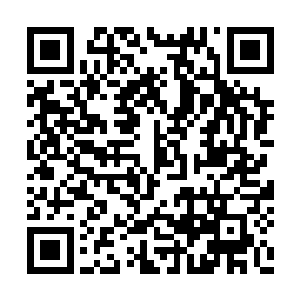 还记得上次和芮阁一起吃的时候是怎么用刀叉的二维码生成