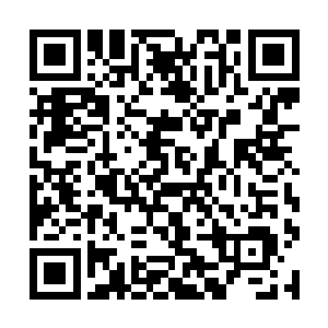 还记得我前天跟你说的要如何把五种力量互生互助吗二维码生成