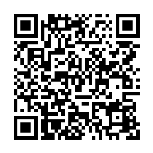 还需要慢慢锻炼才能让身体承受那么高的属性值二维码生成