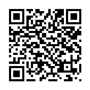 还需要有人代表图腾龙族前去谈和二维码生成