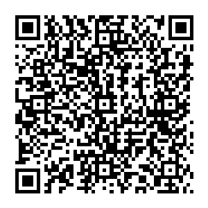 这……令公子这要求实在是有点……那林烽可是能帮我们芝安一中在今年的高考当中夺魁的尖子生呀二维码生成