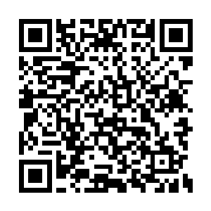 这……天庭一时间恐怕也拿不出这么多的粮食啊二维码生成