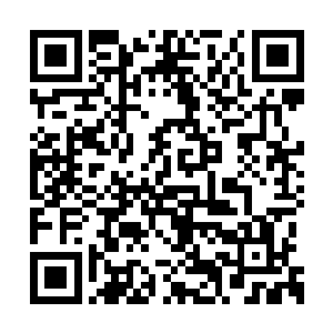这……这不是莫胖子那天自己编造出来的故事吗二维码生成
