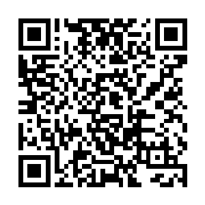 这一下他也没有拒绝丹妮拉悄然建立的心灵沟通桥梁二维码生成