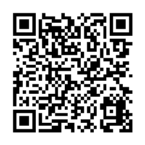 这一下子经验老道的风奇泽和白端木都不禁咽了口口水二维码生成