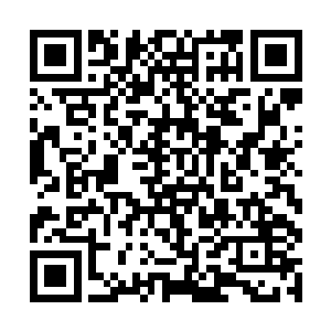 这一下被血色的气体笼罩的人再一次损失了几十个人二维码生成