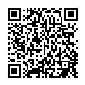 这一个村长一个支书心里的小九九可一点都没有瞒过左书记二维码生成