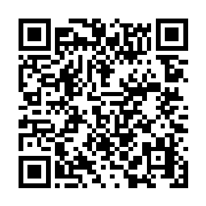 这一个耳光将胡磊抽的踉踉跄跄的退出去了好几步二维码生成