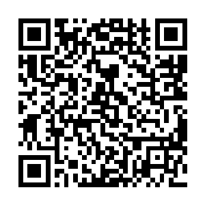 这一份实力绝对是从生死之间磨练出来的……非凡的经验二维码生成