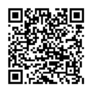 这一击可是足足消耗了武庸身上过万的风道道痕二维码生成