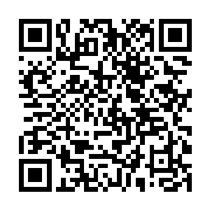 这一击的威力已经达到圣域八重天初期乃至中期层次二维码生成