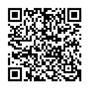 这一切只不过是我临时想要测试一下我的弟子的反应能力而已二维码生成