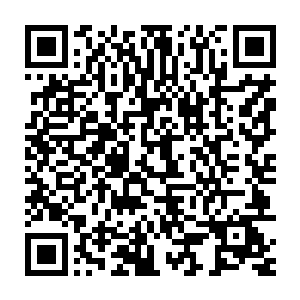 这一切真的是眼前这个只有筑基期第十二层的许紫烟爆发出来的力量二维码生成