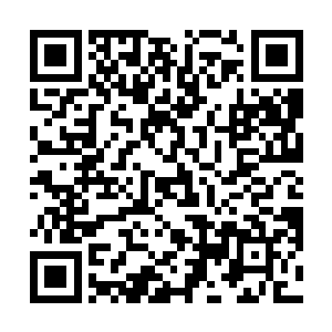这一刻他就要用历史规矩令对方不得不接受自己的说法二维码生成