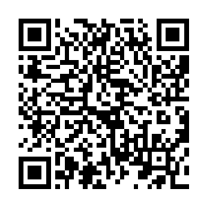 这一刻叶秋在谷道长学习木人桩时候的本领体现的淋漓尽致二维码生成