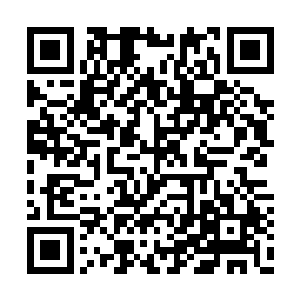 这一刻哪怕是冷漠如她脸上也是露出了动容之色二维码生成