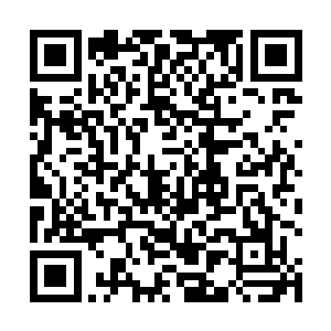 这一刻唐劫的血肉磨盘在他们眼中已成为最恐怖的事物二维码生成