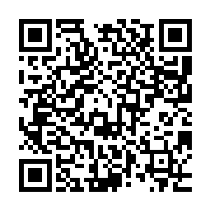 这一刻那些观战的各峰脉的长老一个个全都神色复杂的望向罗震二维码生成