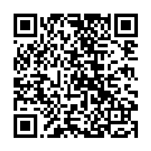 这一刻韩明晰终于知道了一件其实早已成定局的事情二维码生成