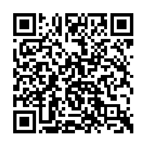 这一号傀儡是为了不对他出手而忍受这些痛苦的二维码生成