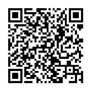 这一场好似狂风暴雨般的变革气象瞬间席卷了整个大周之境二维码生成