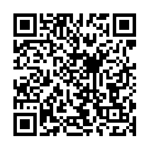 这一对生在自己肩胛骨处的翅膀造型大气张扬中透着一股优美二维码生成