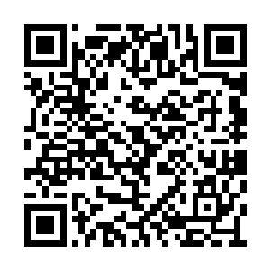 这一左一右两根长矛的穿透力量施加在苏林身上二维码生成