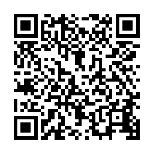 这一幕出现后顿时让下方震惊的两人脸上露出狂喜之色二维码生成